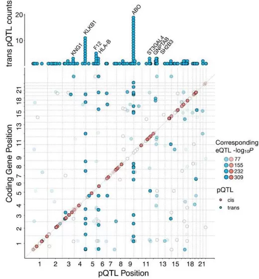overlap of the pleiotropic mapped pQTL with existing eQTL overlap of the pleiotropic mapped pQTL with existing eQTL